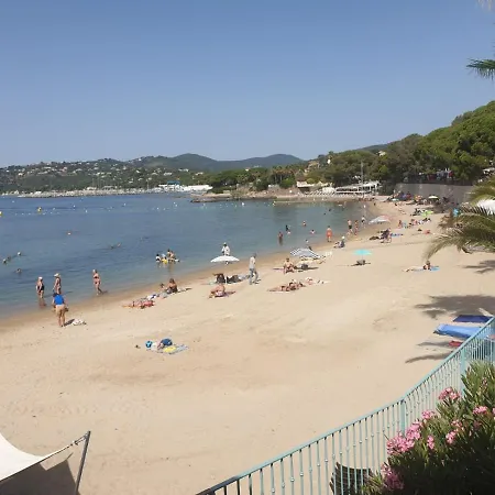 Habitación en casa particular Coeur D'arty Show *