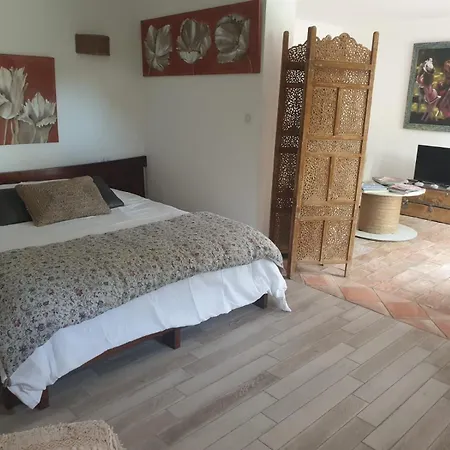 Coeur D'arty Show La Garonnette-Plage